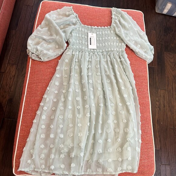 NWTs Women's Knee Dress Short Sleeve Lined Puff Detail Pastel Green Sm - Picture 6 of 6